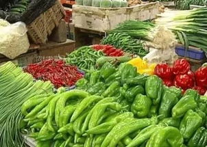 克旗市場監(jiān)管局多舉措強化食用農(nóng)產(chǎn)品質(zhì)量安全監(jiān)管