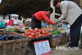 市場監測顯示 食用農產品價格總體平穩，生產資料價格呈上行態勢