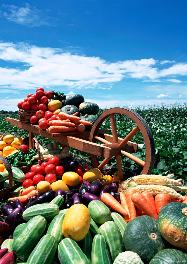 新規落地，守護舌尖安全——孫海山律師解讀《食用農產品市場銷售質量安全監督管理辦法》